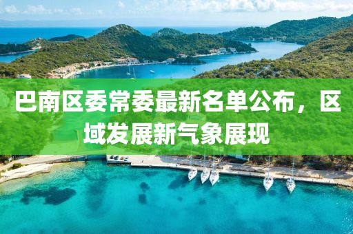 巴南區(qū)委常委最新名單公布，區(qū)域發(fā)展新氣象展現(xiàn)