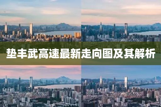 墊豐武高速最新走向圖及其解析