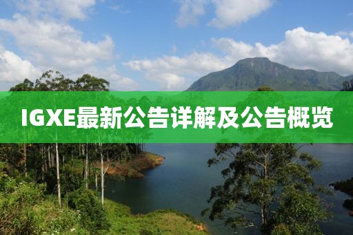 IGXE最新公告詳解及公告概覽