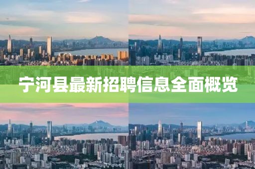 寧河縣最新招聘信息全面概覽