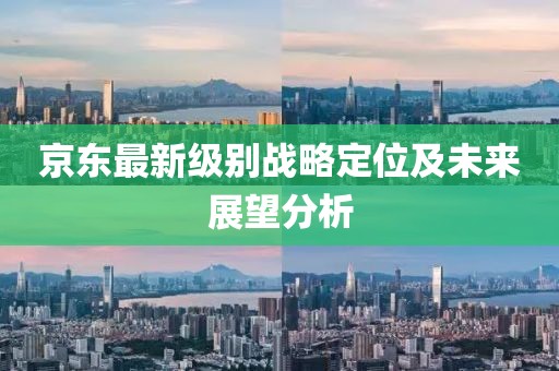 京東最新級(jí)別戰(zhàn)略定位及未來展望分析