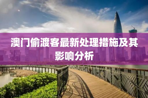 澳門偷渡客最新處理措施及其影響分析