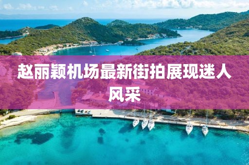 趙麗穎機場最新街拍展現(xiàn)迷人風(fēng)采