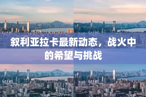敘利亞拉卡最新動(dòng)態(tài)，戰(zhàn)火中的希望與挑戰(zhàn)