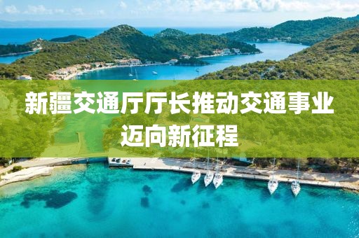 新疆交通廳廳長推動(dòng)交通事業(yè)邁向新征程