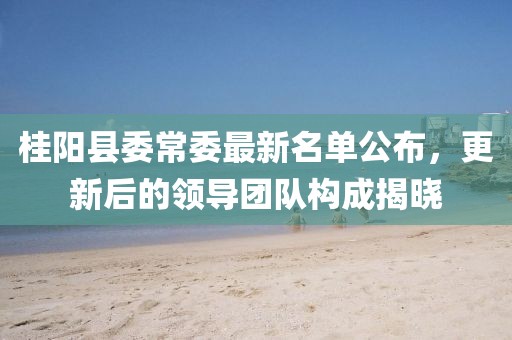 桂陽縣委常委最新名單公布，更新后的領導團隊構(gòu)成揭曉