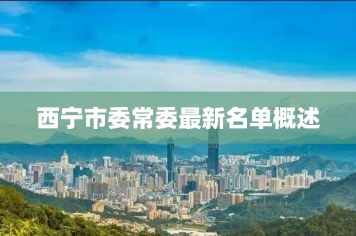 西寧市委常委最新名單概述