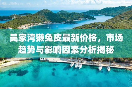 吳家灣獺兔皮最新價格，市場趨勢與影響因素分析揭秘