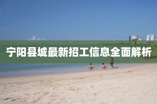 寧陽縣城最新招工信息全面解析
