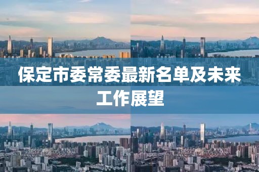 保定市委常委最新名單及未來工作展望