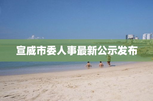 宣威市委人事最新公示發(fā)布