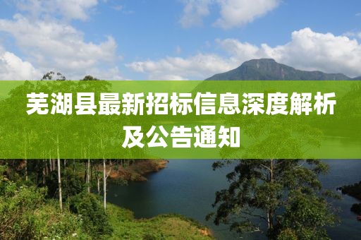 蕪湖縣最新招標(biāo)信息深度解析及公告通知