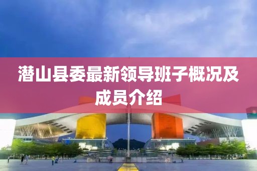 潛山縣委最新領導班子概況及成員介紹