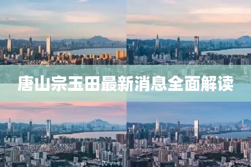 唐山宗玉田最新消息全面解讀