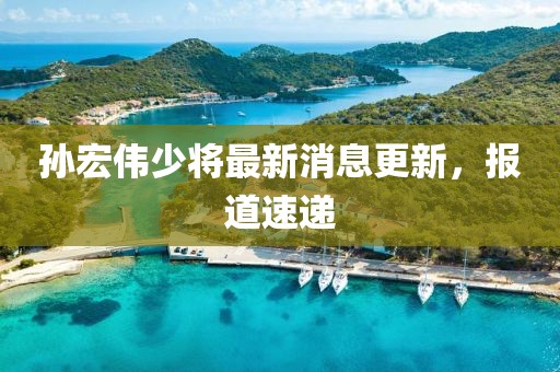 孫宏偉少將最新消息更新，報(bào)道速遞
