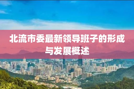 北流市委最新領導班子的形成與發(fā)展概述