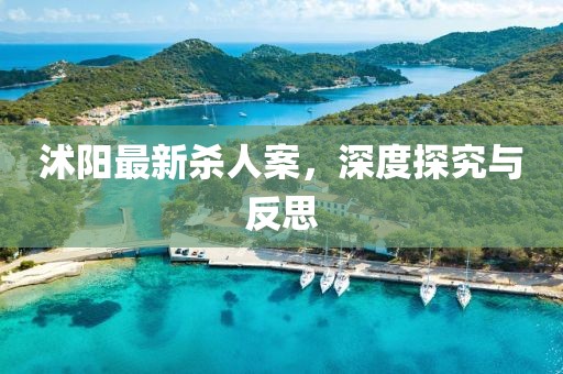 沭陽最新殺人案，深度探究與反思