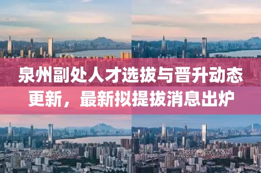 泉州副處人才選拔與晉升動態(tài)更新，最新擬提拔消息出爐