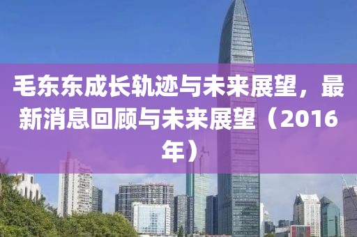 毛東東成長軌跡與未來展望，最新消息回顧與未來展望（2016年）