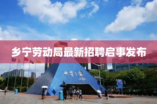 鄉(xiāng)寧勞動(dòng)局最新招聘啟事發(fā)布
