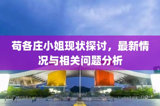 茍各莊小姐現(xiàn)狀探討，最新情況與相關(guān)問題分析