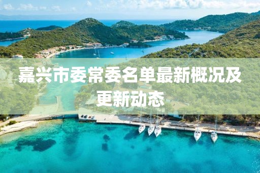 嘉興市委常委名單最新概況及更新動態(tài)