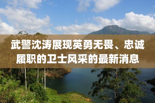 武警沈濤展現(xiàn)英勇無畏、忠誠履職的衛(wèi)士風采的最新消息