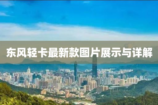 東風(fēng)輕卡最新款圖片展示與詳解