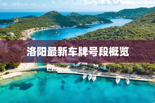 洛陽最新車牌號段概覽