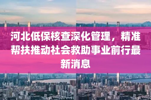 河北低保核查深化管理，精準(zhǔn)幫扶推動社會救助事業(yè)前行最新消息