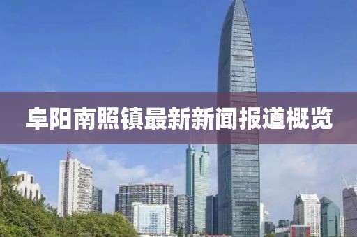 阜陽南照鎮(zhèn)最新新聞報道概覽