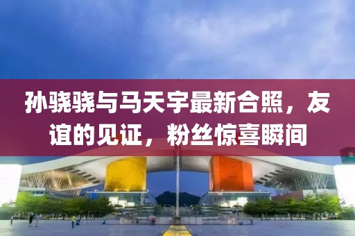 孫驍驍與馬天宇最新合照，友誼的見證，粉絲驚喜瞬間