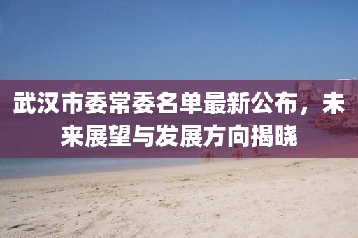 武漢市委常委名單最新公布，未來(lái)展望與發(fā)展方向揭曉