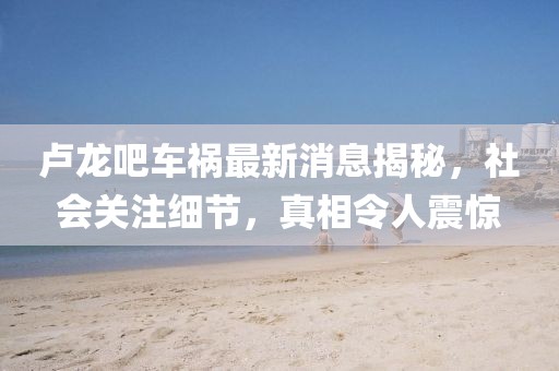盧龍吧車禍最新消息揭秘，社會關(guān)注細節(jié)，真相令人震驚