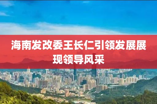 海南發(fā)改委王長仁引領(lǐng)發(fā)展展現(xiàn)領(lǐng)導風采