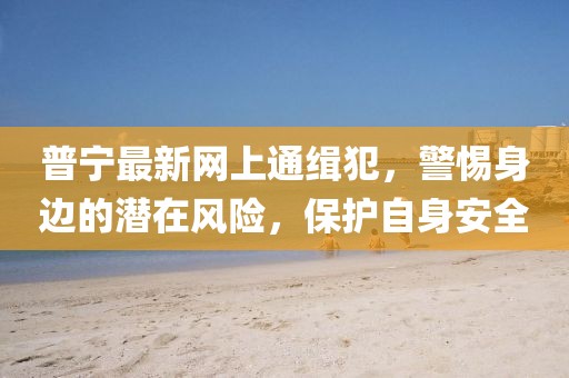 普寧最新網(wǎng)上通緝犯，警惕身邊的潛在風(fēng)險(xiǎn)，保護(hù)自身安全