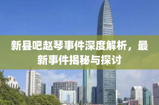 新縣吧趙琴事件深度解析，最新事件揭秘與探討