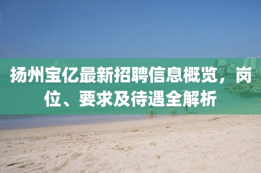 揚(yáng)州寶億最新招聘信息概覽，崗位、要求及待遇全解析
