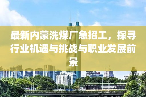 最新內(nèi)蒙洗煤廠急招工，探尋行業(yè)機(jī)遇與挑戰(zhàn)與職業(yè)發(fā)展前景