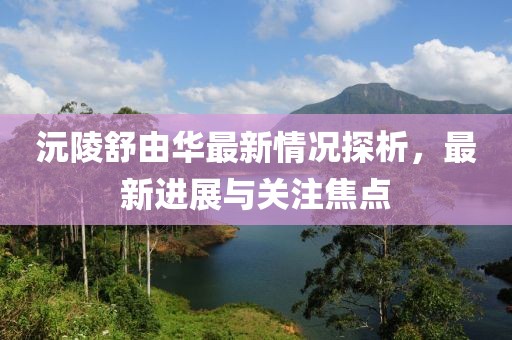 沅陵舒由華最新情況探析，最新進(jìn)展與關(guān)注焦點(diǎn)