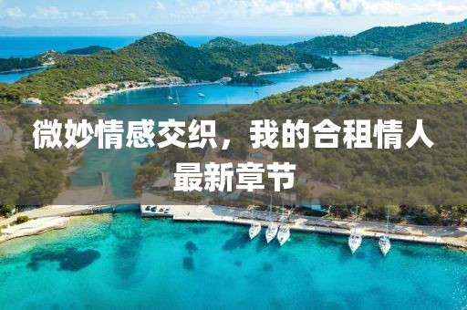 微妙情感交織，我的合租情人最新章節(jié)