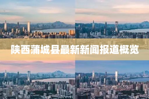 陜西蒲城縣最新新聞報道概覽