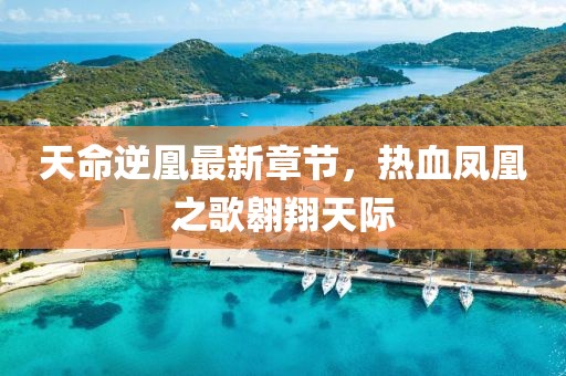 肆戰(zhàn)作王 第20頁(yè)