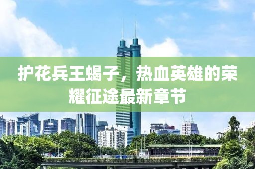 護花兵王蝎子，熱血英雄的榮耀征途最新章節(jié)