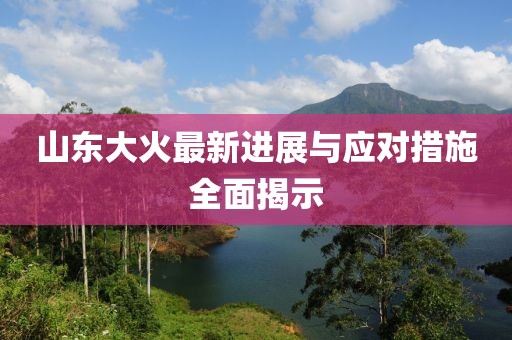 山東大火最新進(jìn)展與應(yīng)對措施全面揭示