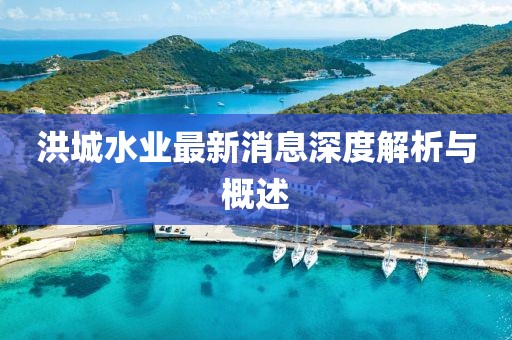 洪城水業(yè)最新消息深度解析與概述