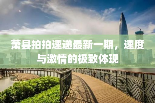 蕭縣拍拍速遞最新一期，速度與激情的極致體現(xiàn)