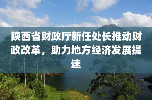 陜西省財政廳新任處長推動財政改革，助力地方經濟發(fā)展提速