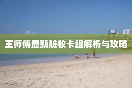 王師傅最新臟牧卡組解析與攻略