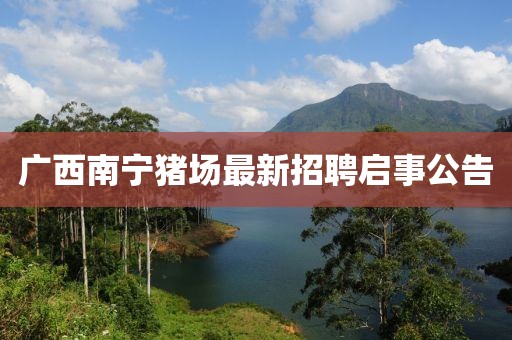 廣西南寧豬場最新招聘啟事公告